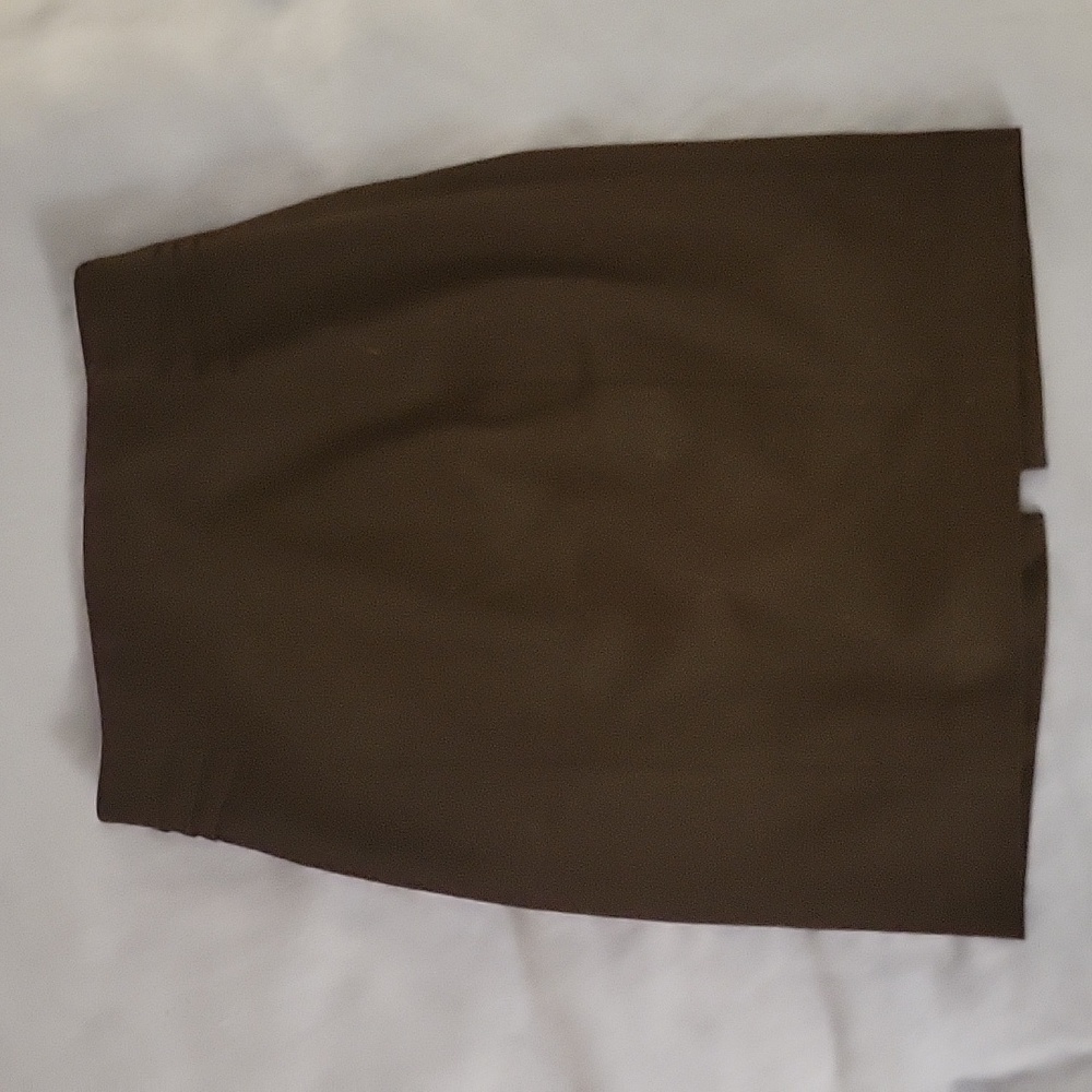 Express Skirt